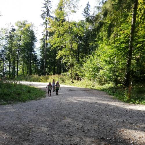 Wandertag der 2a