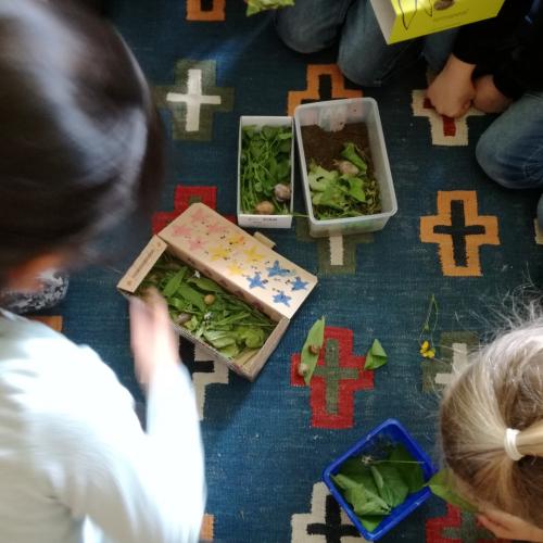 Schnecken beobachten