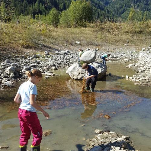  Projekttage in Osttirol