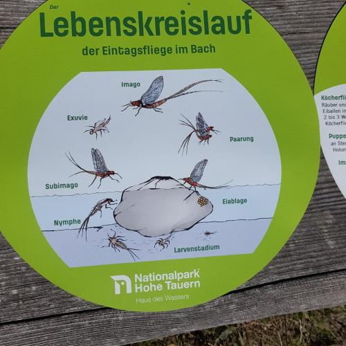  Projekttage in Osttirol