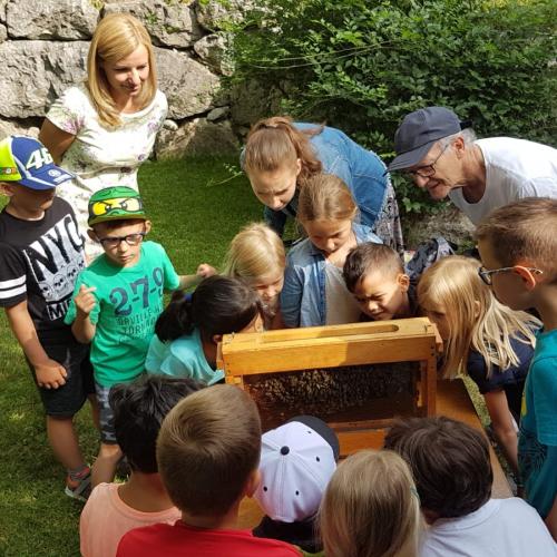 Besuch beim Imker