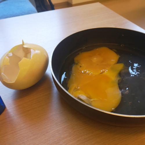 Straußenei aufgeschlagen