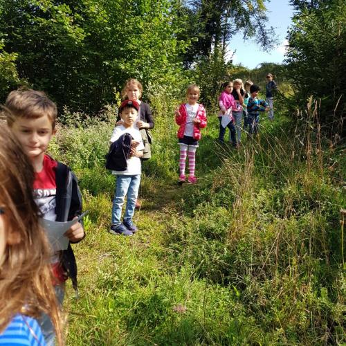 Schnitzeljagd im Wald