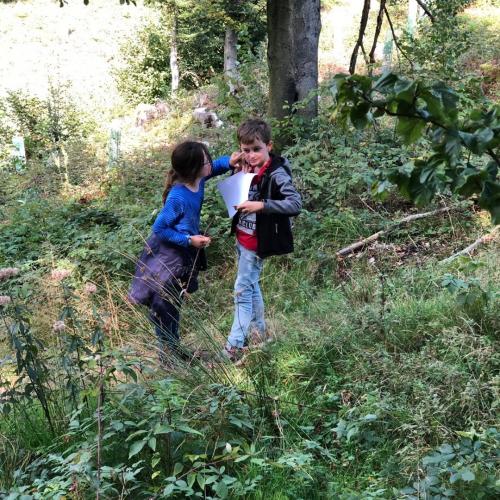 Schnitzeljagd im Wald