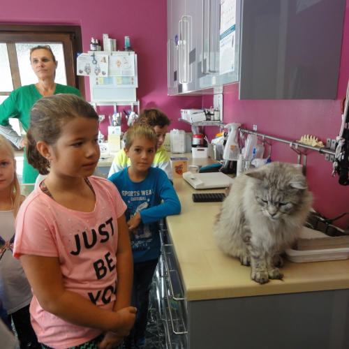 Besuch bei der Tierarztpraxis