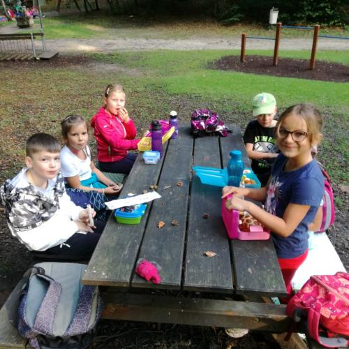 Wandertag zum Matzenpark
