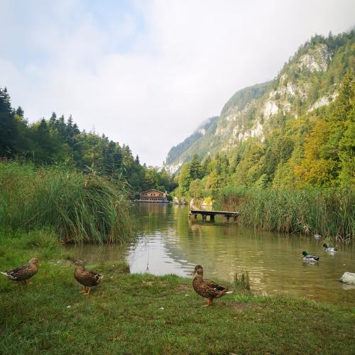 Wandertag