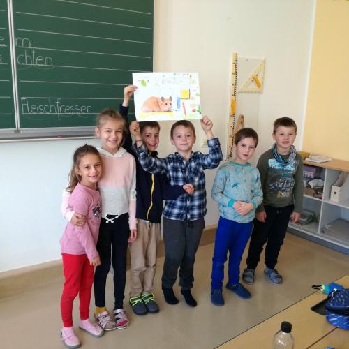 Präsentation Haustiere