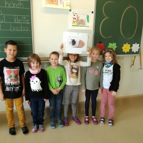 Präsentation Haustiere