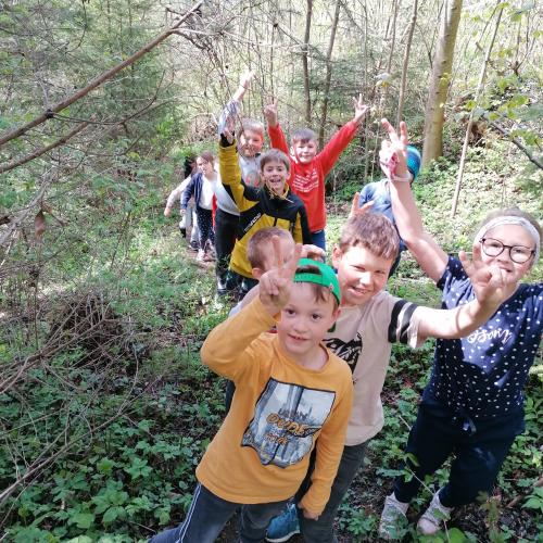 Waldspaziergang