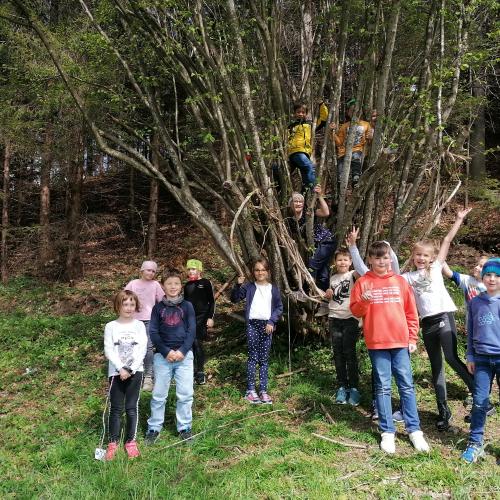 Waldspaziergang