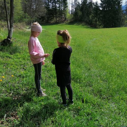 Waldspaziergang
