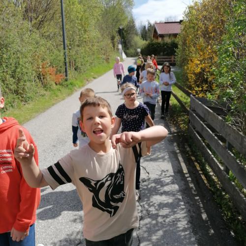 Waldspaziergang