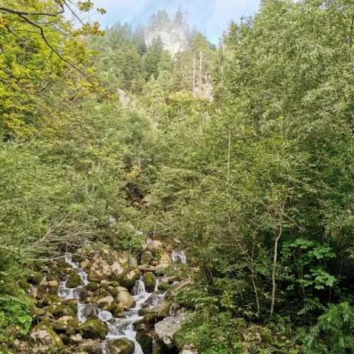 Postalm