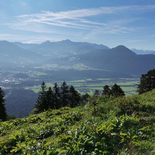 Postalm