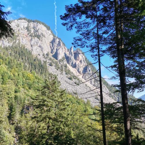Postalm