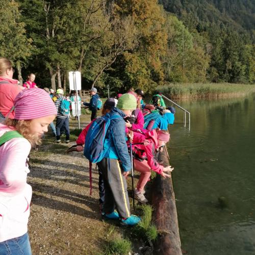 Berglsteinersee 3a