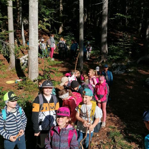Wandertag Berglsteinersee