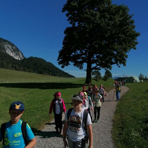Wandertag Berglsteinersee