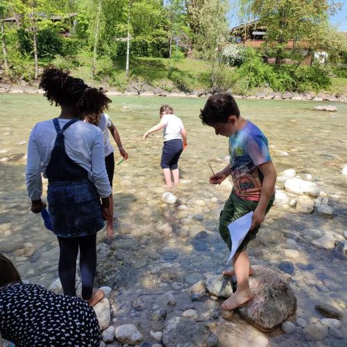 Auf den Spuren der Wassertiere