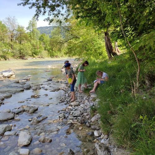 Auf den Spuren der Wassertiere