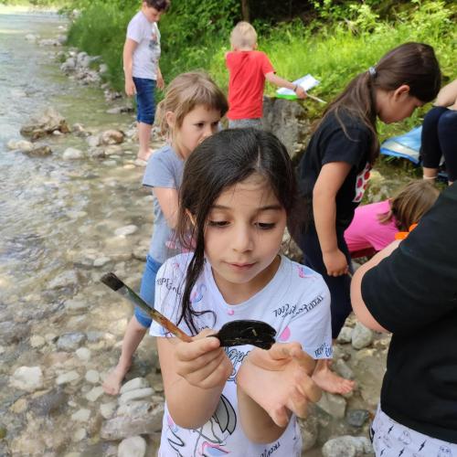 Auf den Spuren der Wassertiere