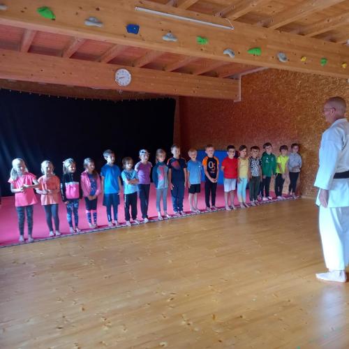 Karatedo
