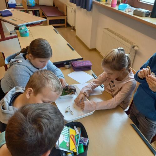 Pilz-Workshop