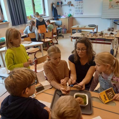 Pilz-Workshop