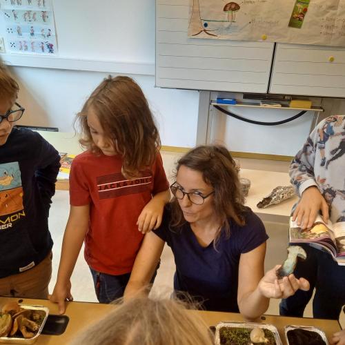 Pilz-Workshop