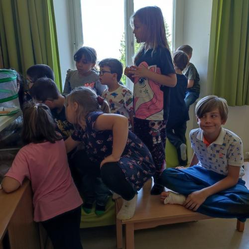 Schmetterlinge beobachten!!!