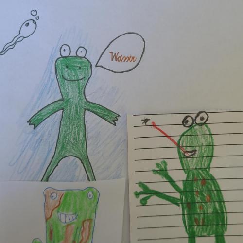 Klassenfrösche der 3b
