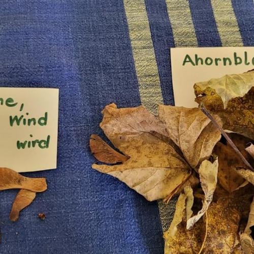 Waldausstellung 2a