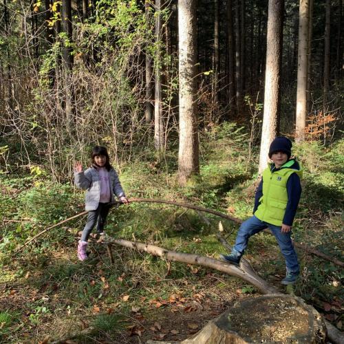 Waldtag 1a