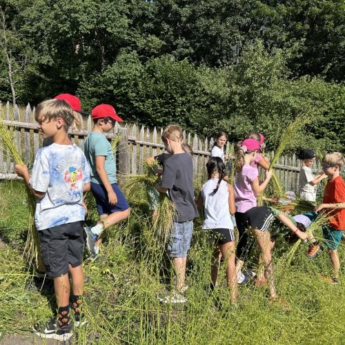 3c Klasse