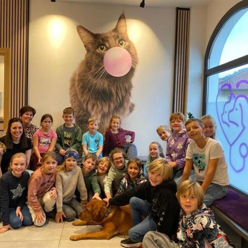 Die 2a bei Tierärztin Dr. Kathrin Knödl