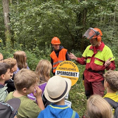 Waldtag 3. Klassen