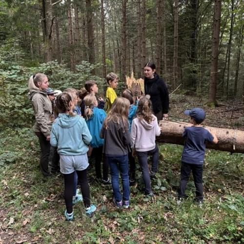 Waldtag 3. Klassen