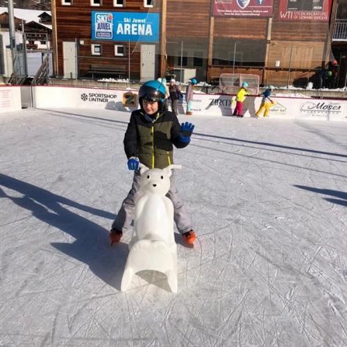 Mit Eisbären geht's noch viel schneller