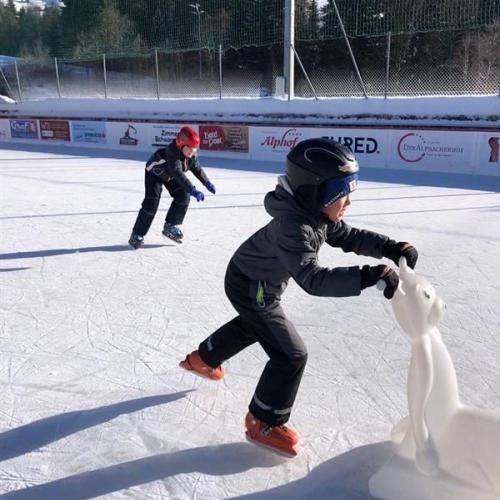 Noch hat der Eisbär die Nase vorn...