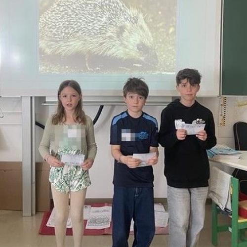 Igel wurden vorgestellt