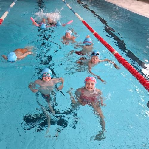 Schwimmstars von morgen