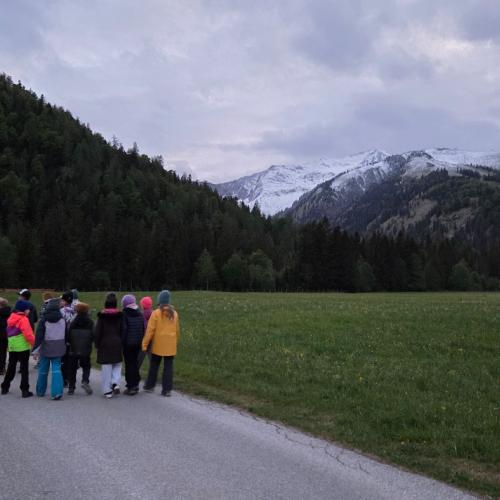So eine Wanderung in die Nacht ist mal was ganz anderes 