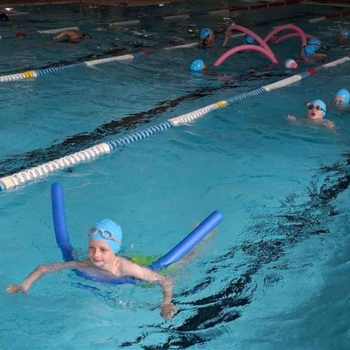 Schwimmstars von morgen