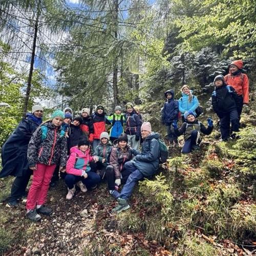 Über Stock und Stein geht's durch den Wald