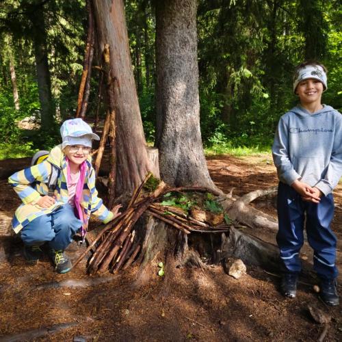 Im Wald kann man kleine Häuser bauen