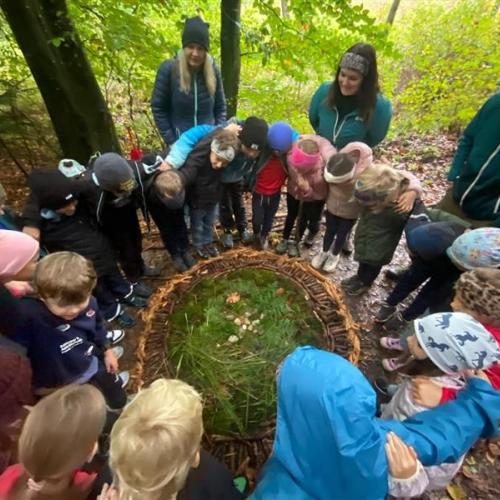 Spannend was da alles so im Wald zu finden ist