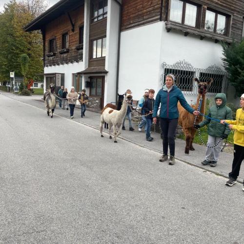Auf zum Spaziergang