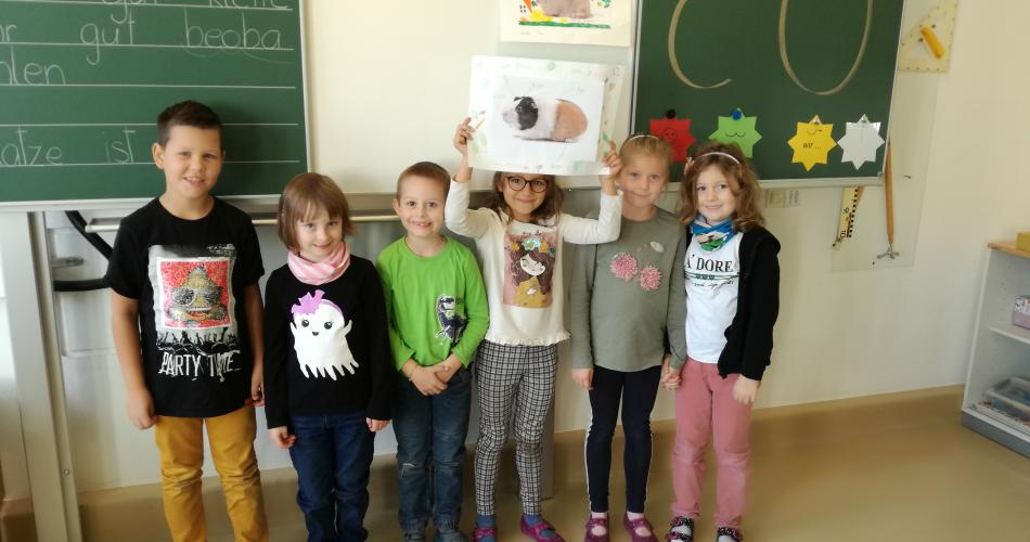 Präsentation Haustiere