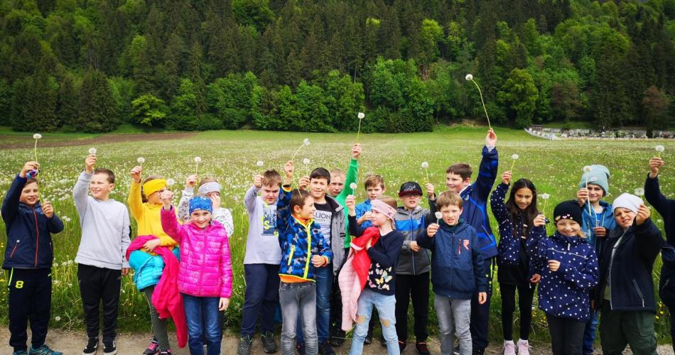 Pusteblumen